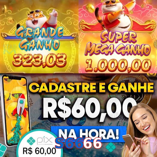 S6666