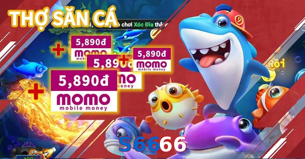 S6666