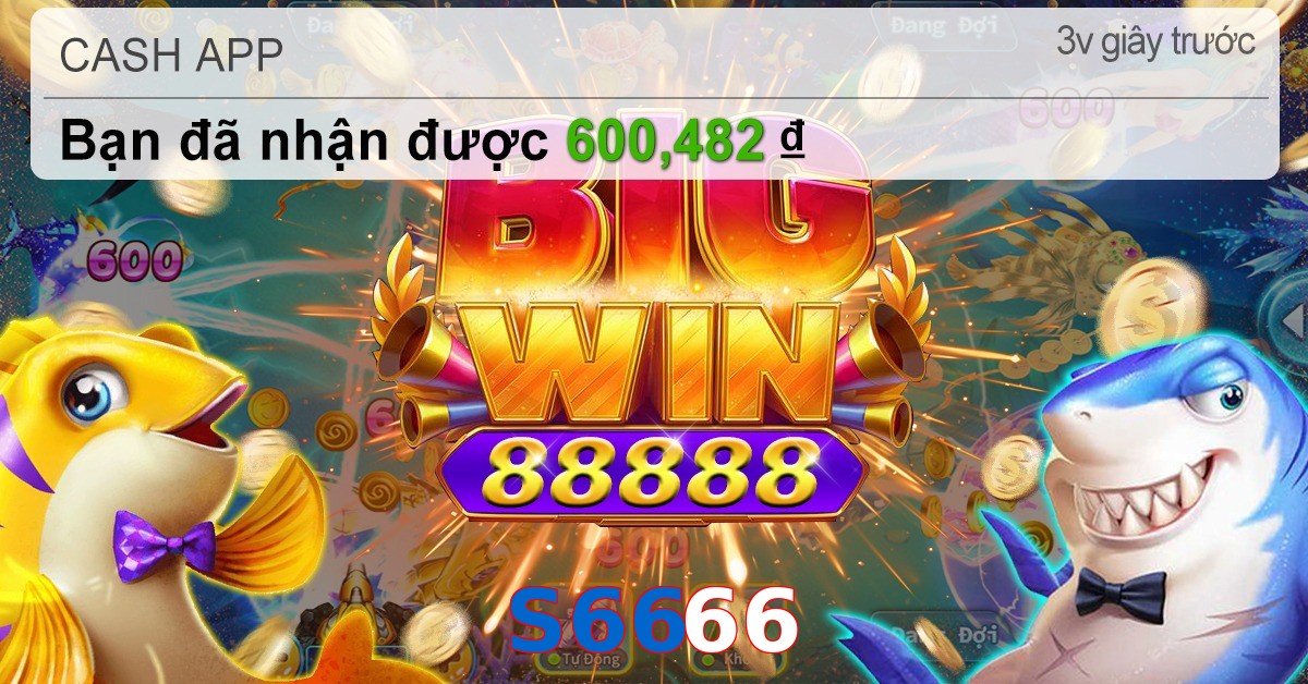 S6666