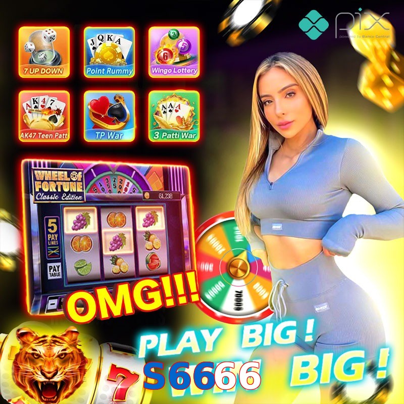 S6666
